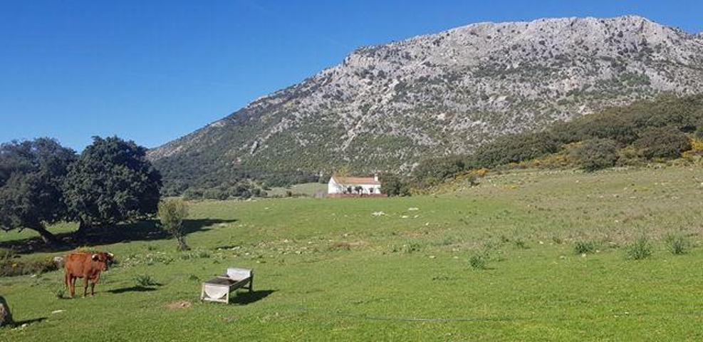 Chalet en venta en Cortes de la Frontera, Cortes De La Frontera photo 0
