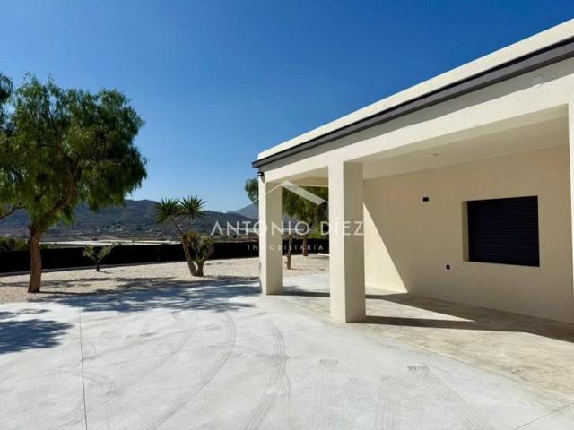 Chalet en venta en Aspe, Aspe photo 0