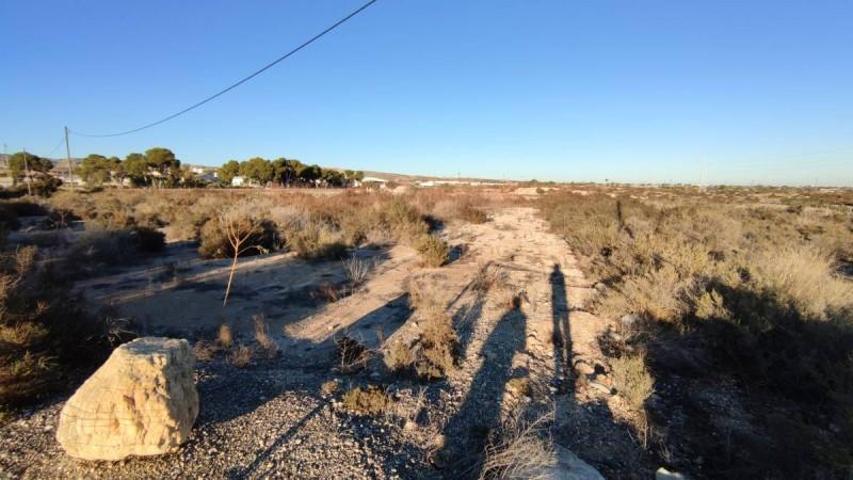 Chalet en venta en Crevillent, Crevillent photo 0