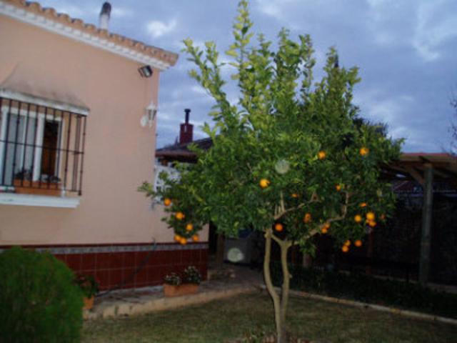 Chalet en venta en Umbrete, Urbanizaciones photo 0