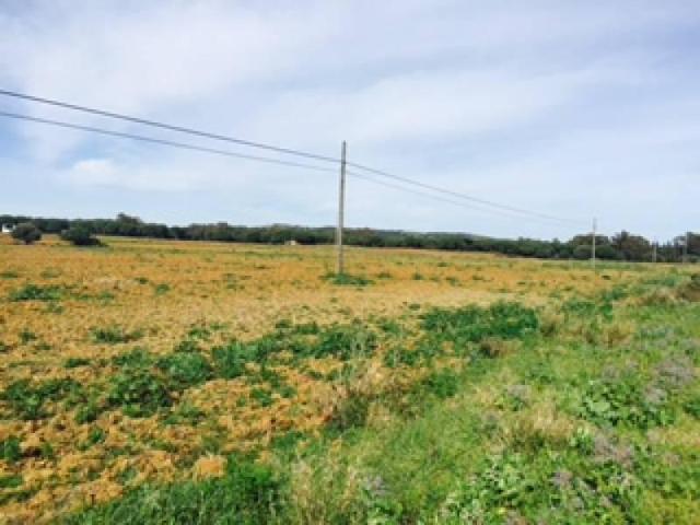 Chalet en venta en Vejer de la Frontera, Playas photo 0