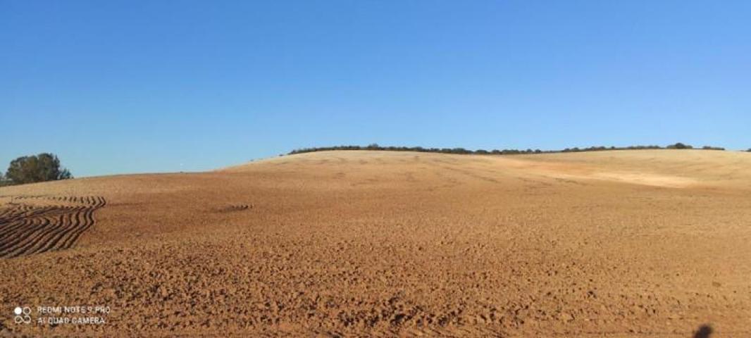 Chalet en venta en Arcos de la Frontera, Arcos De La Frontera photo 0
