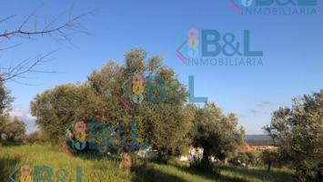 Terreno en venta en Rosal de la Frontera, Rosal De La Frontera photo 0