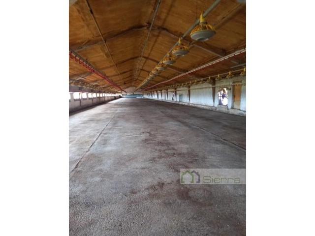 Nave industrial en venta en Sarria, Os Remedios photo 0