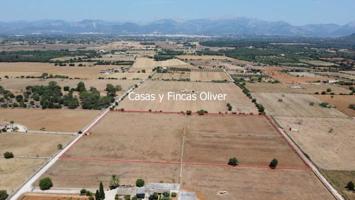 Terreno en venta en Inca, Inca photo 0