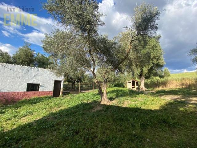 Chalet en venta en Arriate photo 0