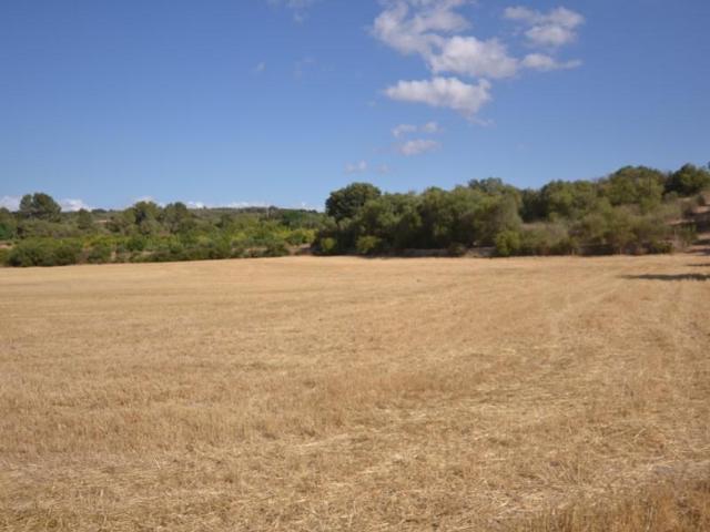 Terreno en venta en Porreres photo 0