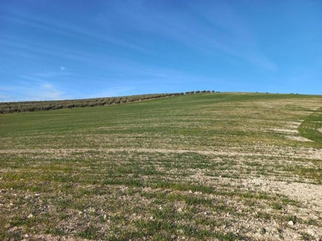 Chalet en venta en Peal de Becerro, Peal De Becerro photo 0