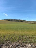 Chalet en venta en Peal de Becerro, Peal De Becerro photo 0