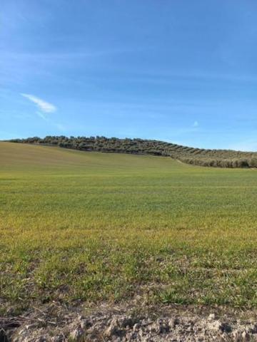 Chalet en venta en Peal de Becerro, Peal De Becerro photo 0