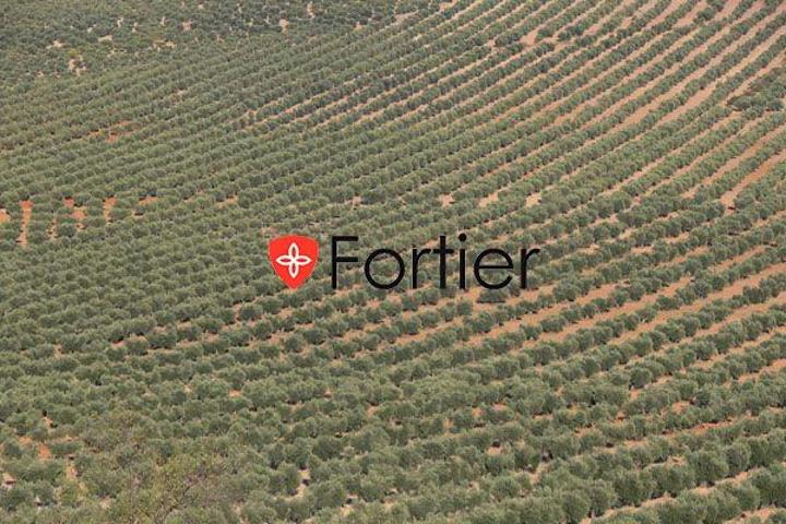 Chalet en venta en Alcaudete, Alcaudete photo 0