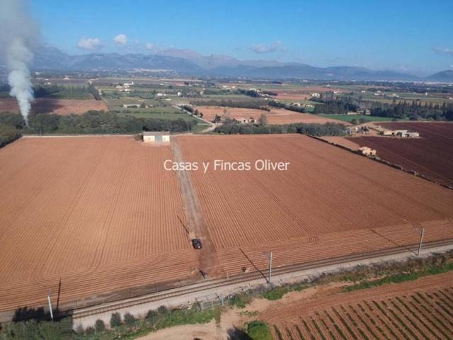 Terreno en venta en Llubí, Llubi photo 0