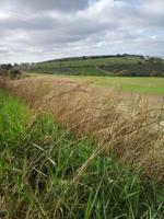 Chalet en venta en Arcos de la Frontera, Arcos De La Frontera photo 0