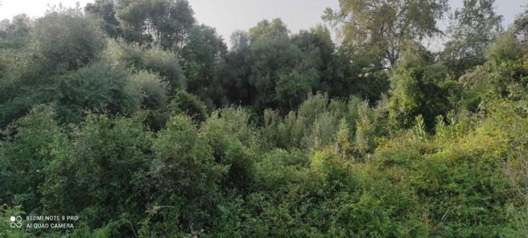 Chalet en venta en Arcos de la Frontera, Arcos De La Frontera photo 0