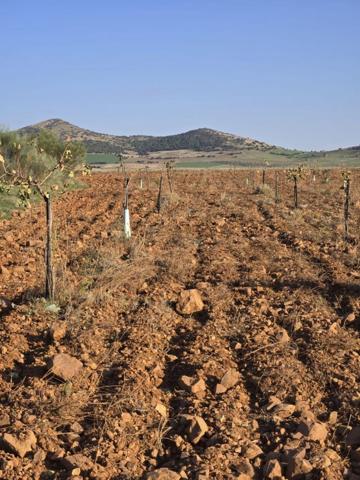 Chalet en venta en Malagón, Malagon photo 0