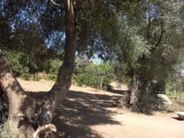 Chalet en venta en Vejer de la Frontera, La Muela photo 0