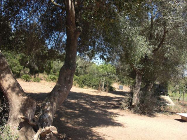Chalet en venta en Vejer de la Frontera, La Muela photo 0
