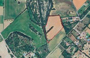 Terreno en venta en Manacor, Afueras photo 0