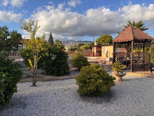 Chalet en venta en Crevillent, PARTIDA CARGA photo 0