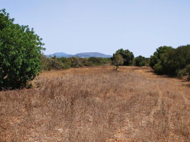 Terreno en venta en Ses Salines photo 0