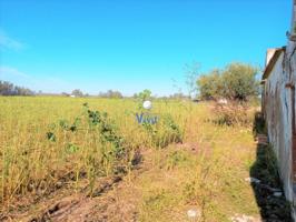 Chalet en venta en Carmona, Carmona photo 0