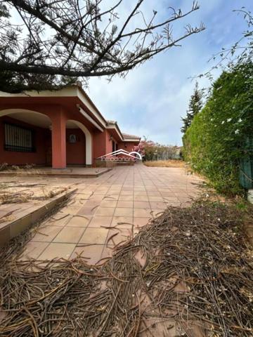 Chalet en venta en Matalascañas, Sector Malvasía photo 0