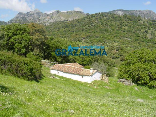Chalet en venta en Grazalema, Grazalema photo 0