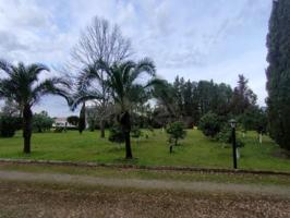 Chalet en venta en Morón de la Frontera photo 0