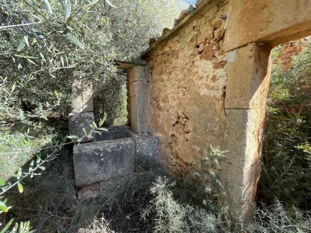 Terreno en venta en Llucmajor photo 0