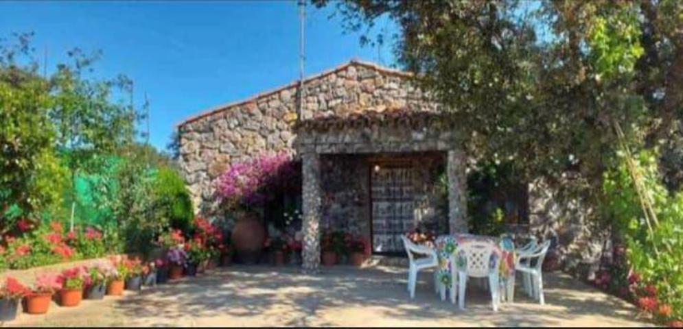 Chalet en venta en Logrosán, Logrosan photo 0