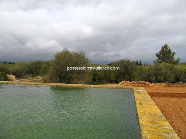 Casa con terreno en venta en Inca, Afueras photo 0