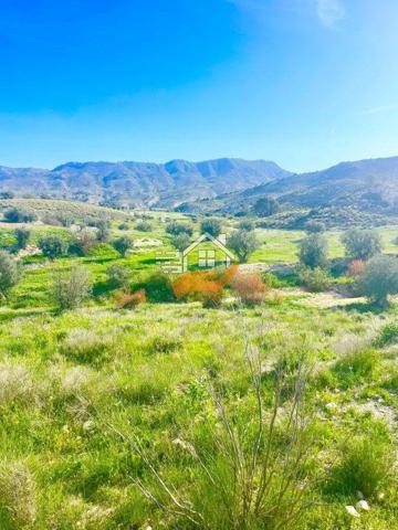 Terreno en venta en Lorca, La Tova - La Parroquia photo 0