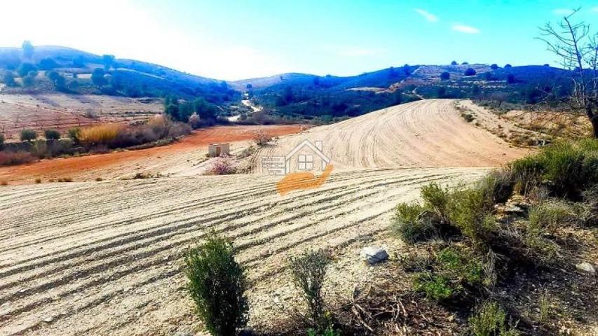 Nave industrial en venta en Vélez-Rubio, Velez-Rubio photo 0