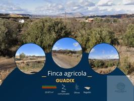 Terreno en venta en Guadix photo 0