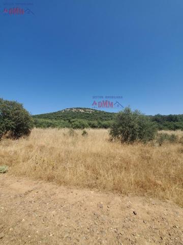 Chalet en venta en Ciudad Real, Ciudad Real photo 0