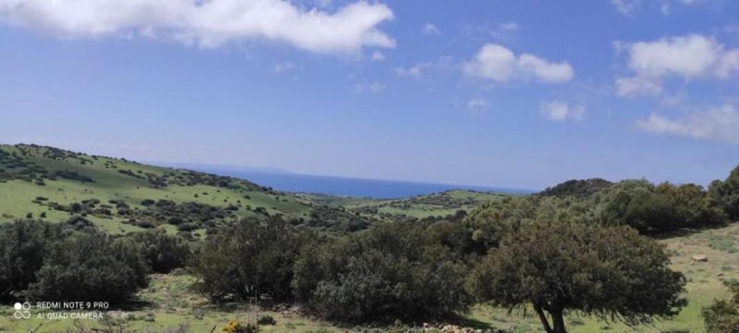 Chalet en venta en Tarifa, Tarifa photo 0