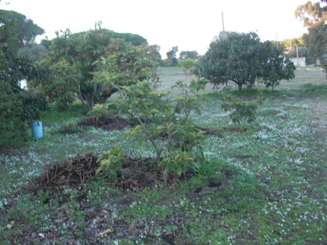 Chalet en venta en Vejer de la Frontera, El Soto photo 0