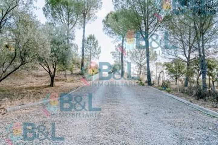 Chalet en venta en Valverde del Camino, Valverde Del Camino photo 0