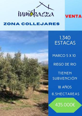 Chalet en venta en Baeza, Baeza photo 0