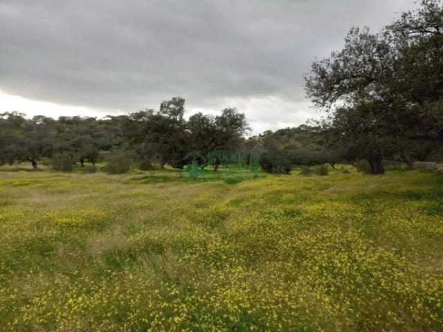 Chalet en venta en Fregenal de la Sierra, Fregenal De La Sierra photo 0