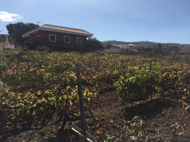 Chalet en venta en Tacoronte, Tacoronte photo 0