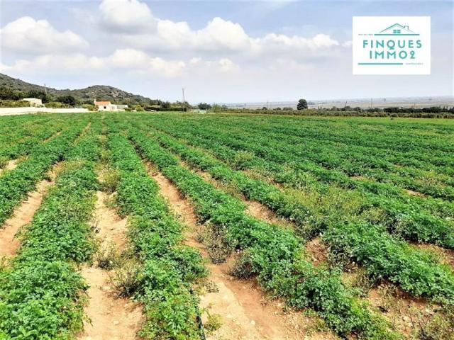 Chalet en venta en Amposta, Amposta photo 0