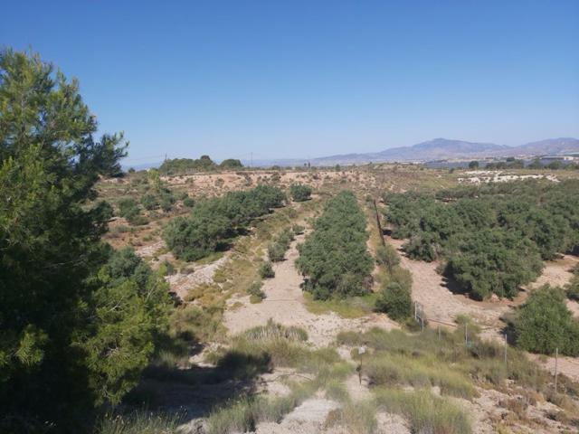 Chalet en venta en Molina de Segura, Urbanizaciones - El Romeral photo 0