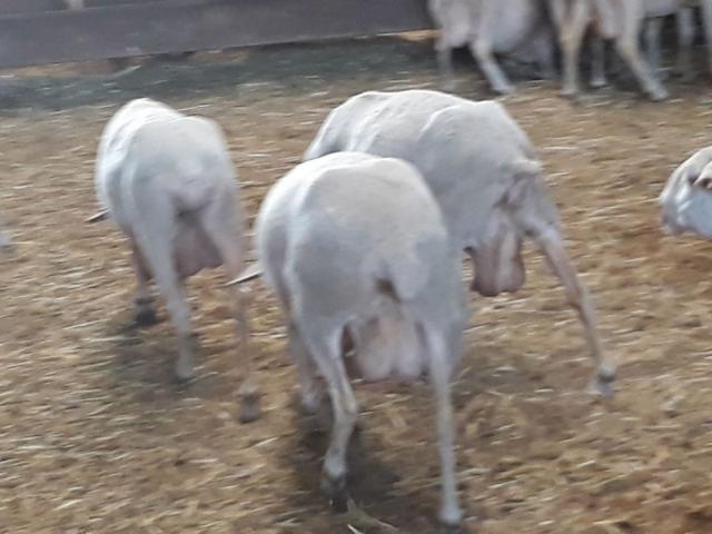 Nave industrial en venta en Toledo, Toledo photo 0