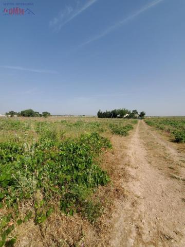 Chalet en venta en Carrión de Calatrava, Carrion De Calatrava photo 0