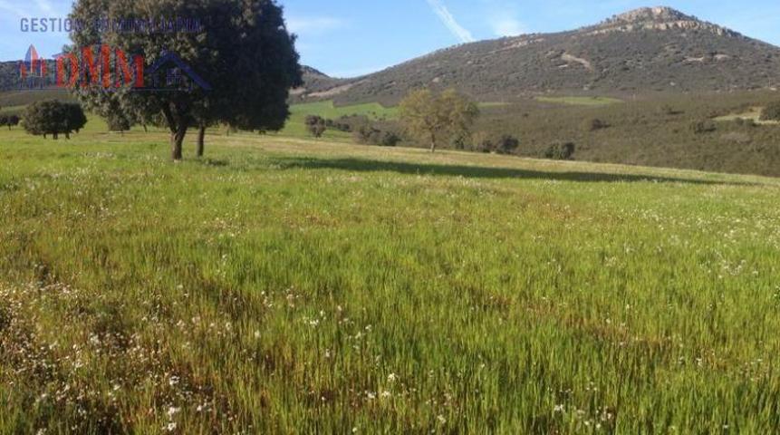 Chalet en venta en Piedrabuena, Piedrabuena photo 0