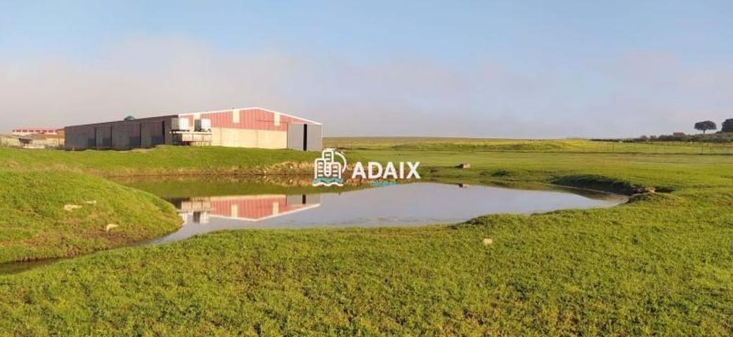 Chalet en venta en Brozas, Brozas photo 0