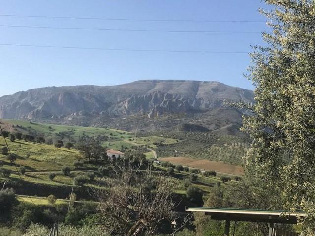 Casa en venta en Alora, Bermejo photo 0