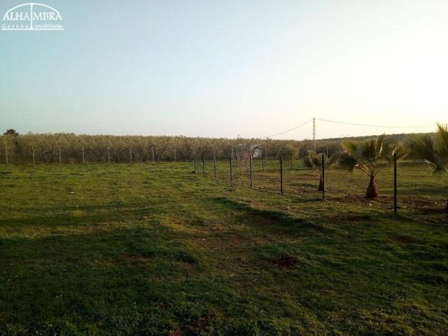 Casa en venta en Aznalcóllar, Aznalcollar photo 0