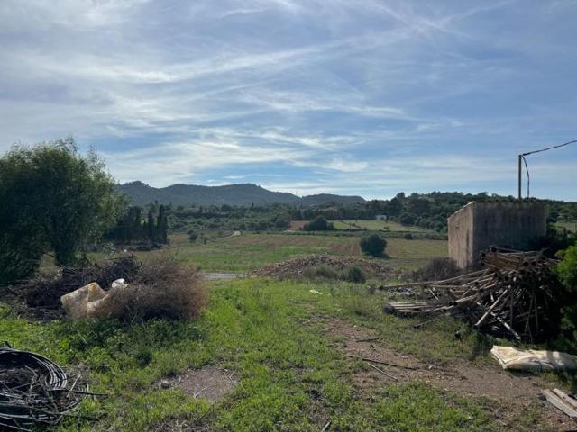 Chalet en venta en Manacor photo 0